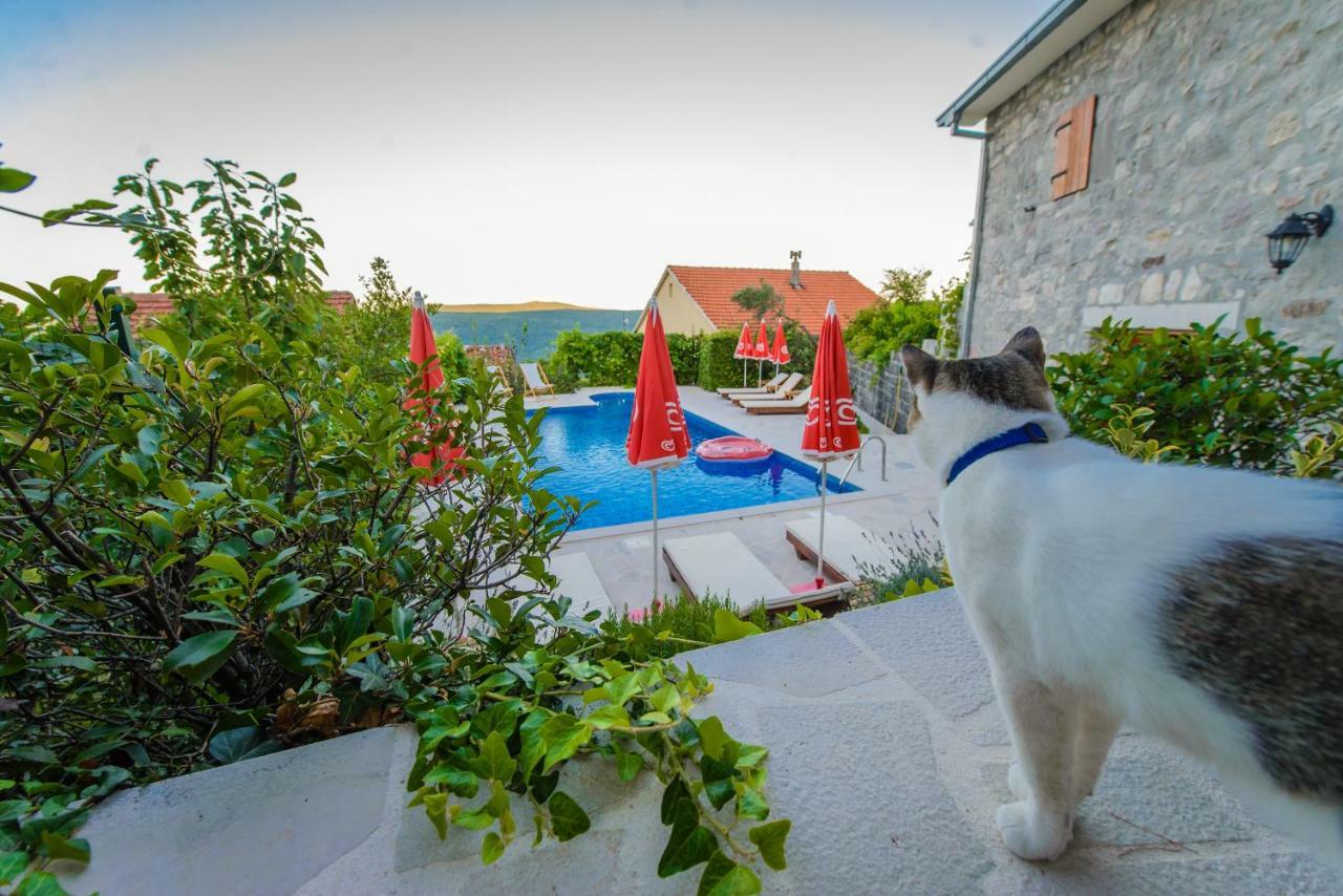 Mediteraneo Villa Kaluderovici ภายนอก รูปภาพ